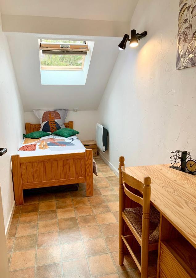 Charmant Appart Sous Toits Proche Chateau Des Ducs Chambéry Buitenkant foto